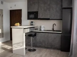 MyPlace Gray Apartment Sandomierz