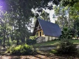 Cabaña Alpina La Delfina