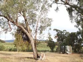 Olive Sanctuary by Tiny Away