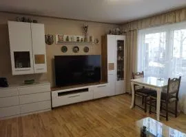 Apartment Hercules