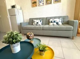 Charmant appartement cosy, terrasse proche des pistes et du centre du village - WIFI gratuit