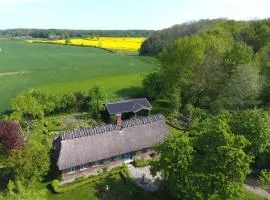 Reetdachkate Fuchsgraben - naturnah & stilvoll mit Wald-Sauna