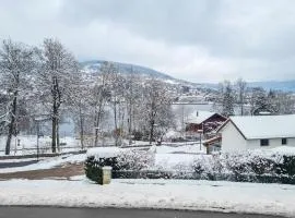 F2* * * 80M DU LAC avec vue+terrasse+proche centre