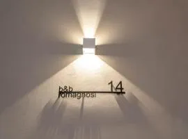 B&B Romagnosi 14