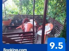 Apartman Drven Pazar