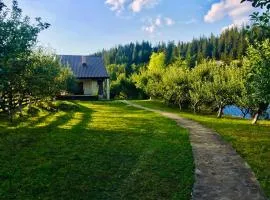 Forest Chalet Sucevita