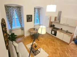 Wien erleben im 1 Bezirk