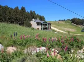 Chalet Pla Del Mir