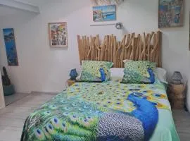 Appartement typique 2 étoiles avec clim