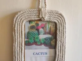 Chambre chez l'habitant "cactus" une, deux ou trois personnes