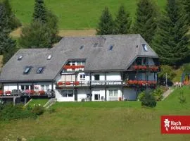 Ferienhaus Schneider Todtnauberg