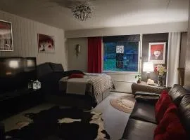 Spacious 44 square meters for 3 people