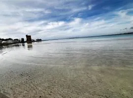 LiCaseDiMare
