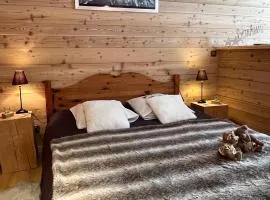 Appartement LAPRESKI, spacieux proche Lac d'Annecy, Les Aravis,randonnées Montagne,