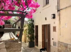 Casa pi