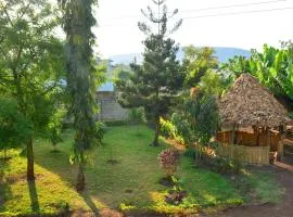 KijijiShamba Kartel