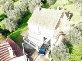 Casa dos Fetos