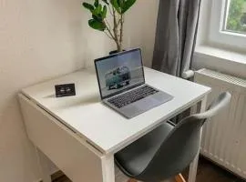 Neu saniertes Penthouse Apartment mit offener Wohnküche