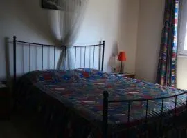 Apollon House near the beach