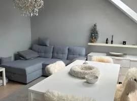 Kranjska Gora Urban Apartment