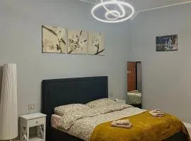 San Carlo 104