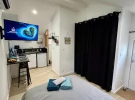 Tiny house de charme toute équipée