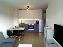 Apartament 22