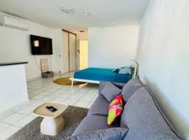 Oasis Studio 33