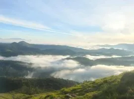 Nature home stay