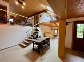 Gîte Vosgien Calme 4 Pers. avec Terrasse et Espace Enfants - FR-1-589-791