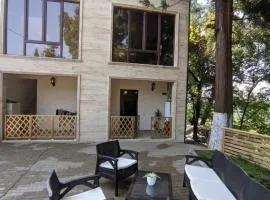 Natia's house