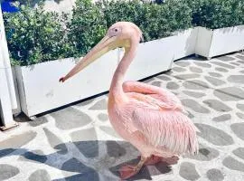 Provis Rentals suite No2 Mykonos