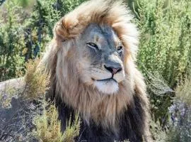 Mont Eco Game Reserve