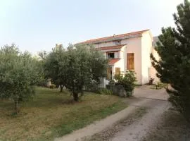 Apartments Petrica