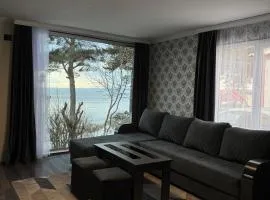 Nirvana Lake View 2