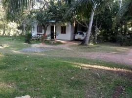 EECS Transit and Budget Homestay
