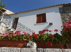 Mani's House