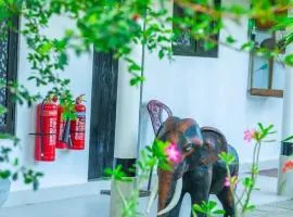 Beddegama Villa & Resort
