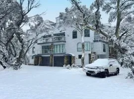 Igloo 4