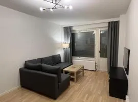 Modern 45m^2 Ullanlinna apartment