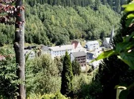 Gasthof Rodachtal mit Gästehaus Katharina