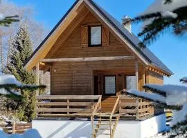 Klimatyczne drewniane Domki Jagodna Spalona 6D-2 jacuzzi sauna,narty biegowe, wyciąg 150m