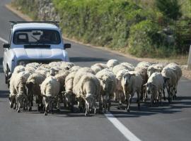 Mountain Mia, ξενοδοχείο σε Šišava
