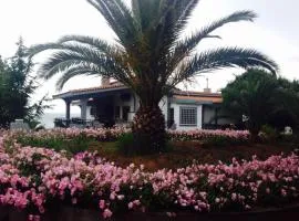 Anna's House