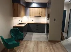 Apartament Apart Kutno