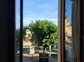 La casa di Alice