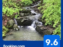 Secluded Home with Mini Waterfall and a Creek in Hot Springs