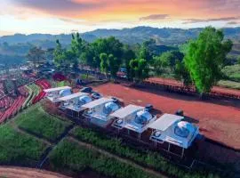 Khaokho flower camp