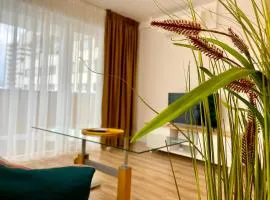 Carpatilor Urban Escape Studio: Free Parking & AC