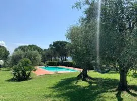 Tenuta IL RIFUGIO